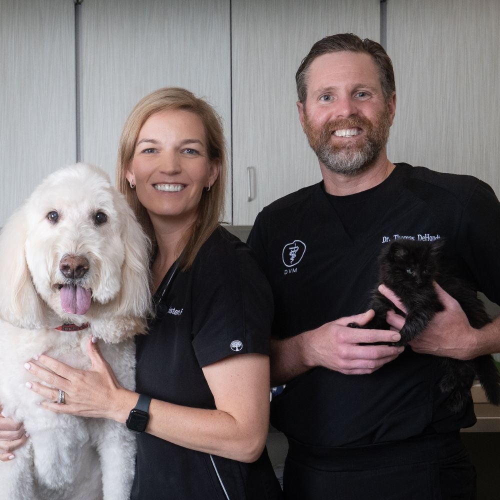 DePorre Veterinary Hospital - Vet Near Me