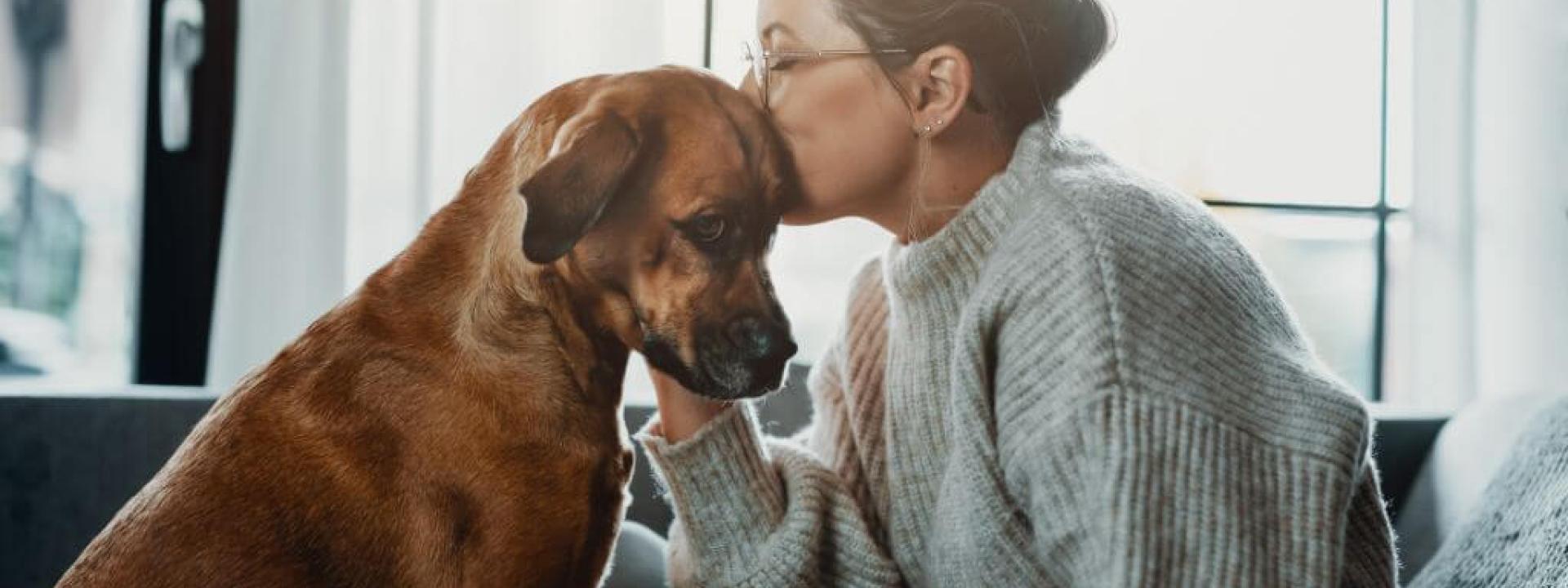 A pet owner kissing their dog with Cushing's Disease on the head.